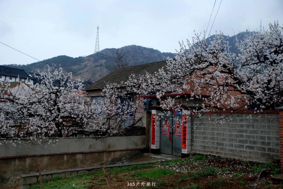 mmexport1555816984883