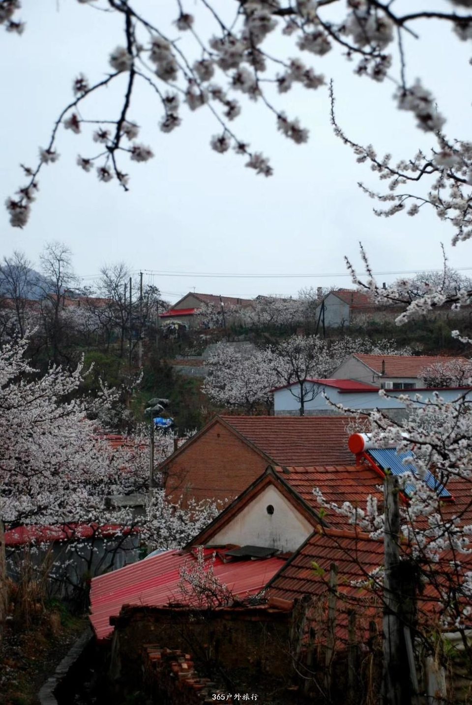 mmexport1555816972633