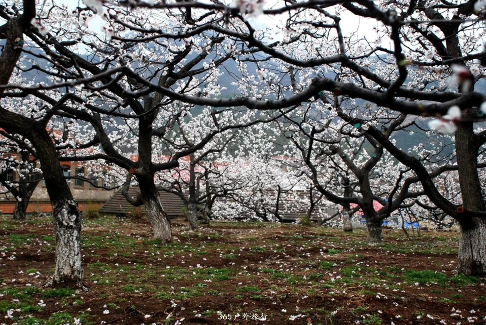 mmexport1555816967905