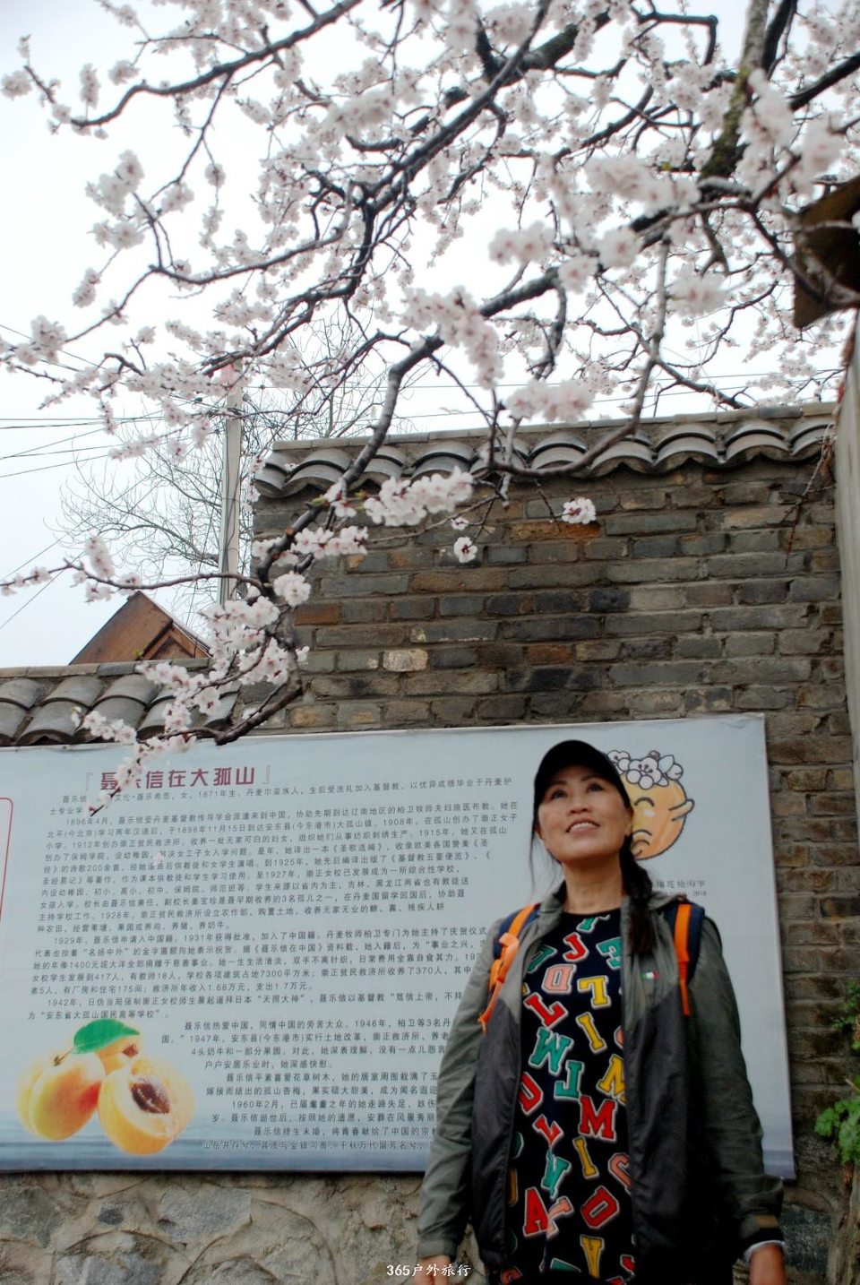 mmexport1555800852189