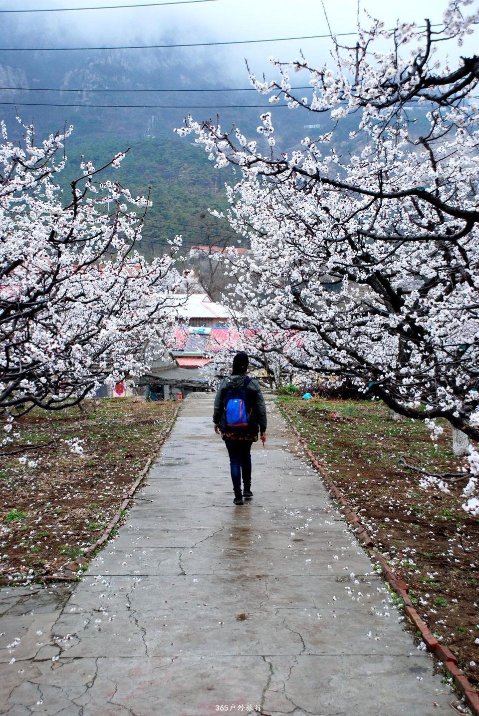 mmexport1555800908707