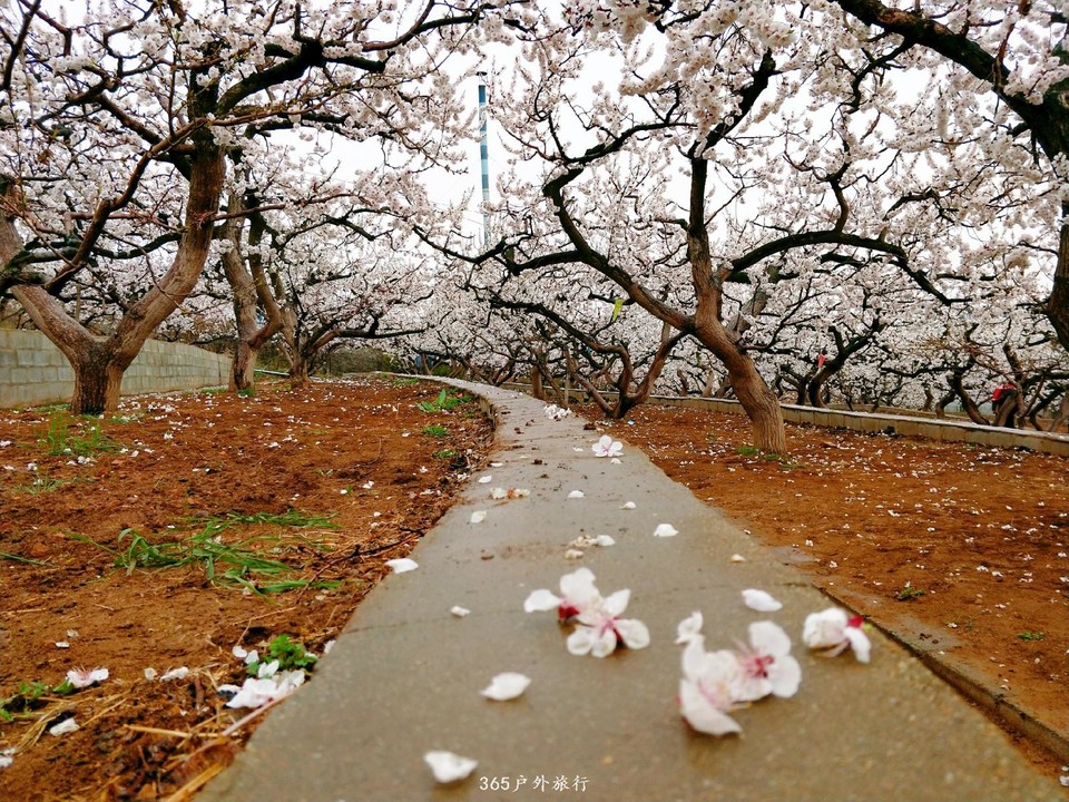 IMG20190420115112_mh1555809238879