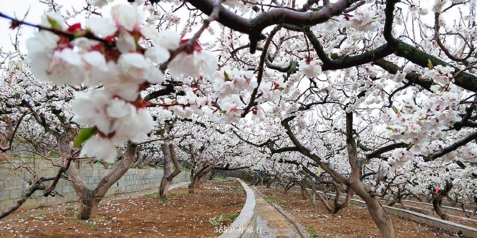 IMG20190420114758_mh1555767446195