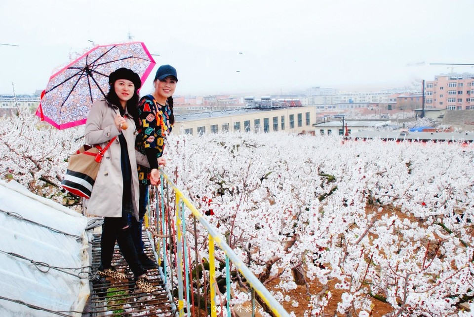 mmexport1555799952555_mh1555810642754