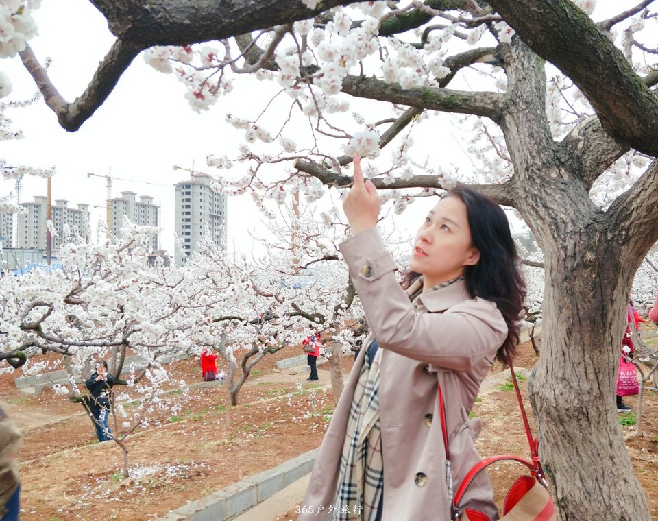 IMG_20190420_173056_mh1555767068286