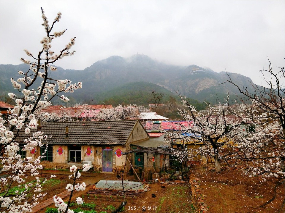 IMG20190420131735_mh1555809173561