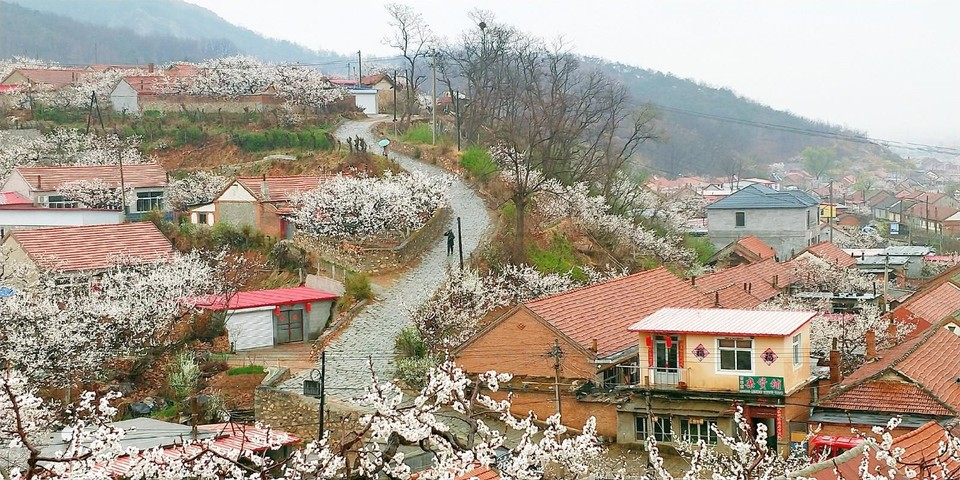 IMG20190420132322_mh1555809143127