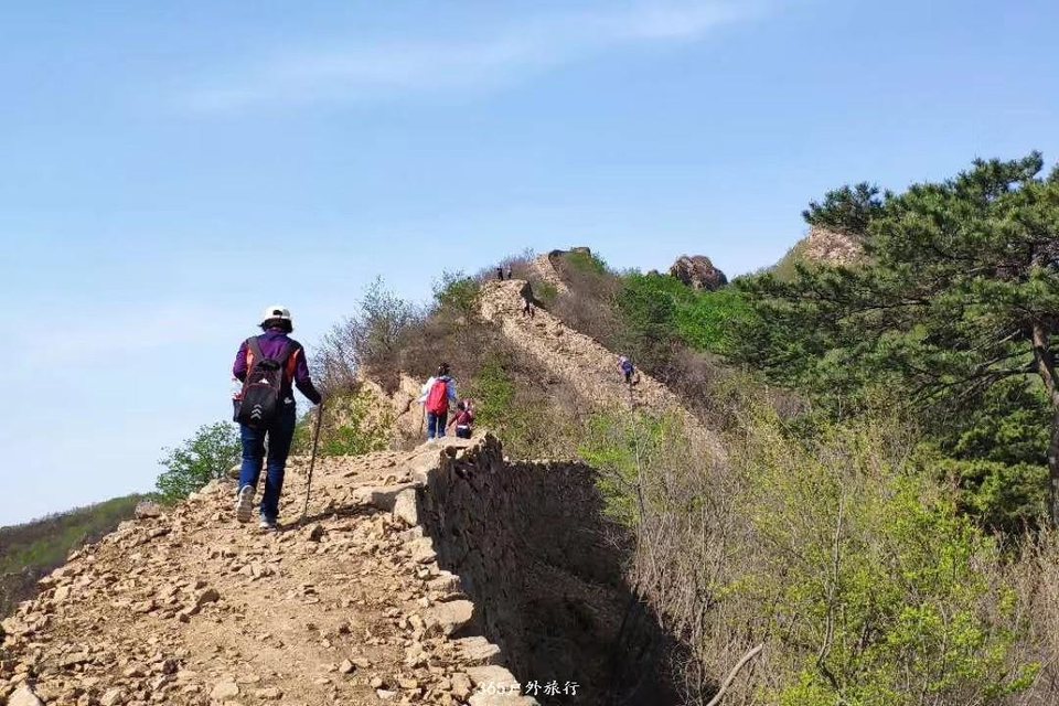 mmexport1556871850450