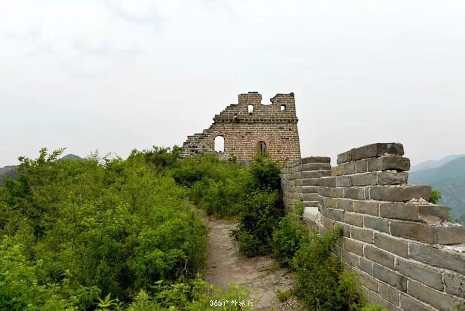 mmexport1556871843837