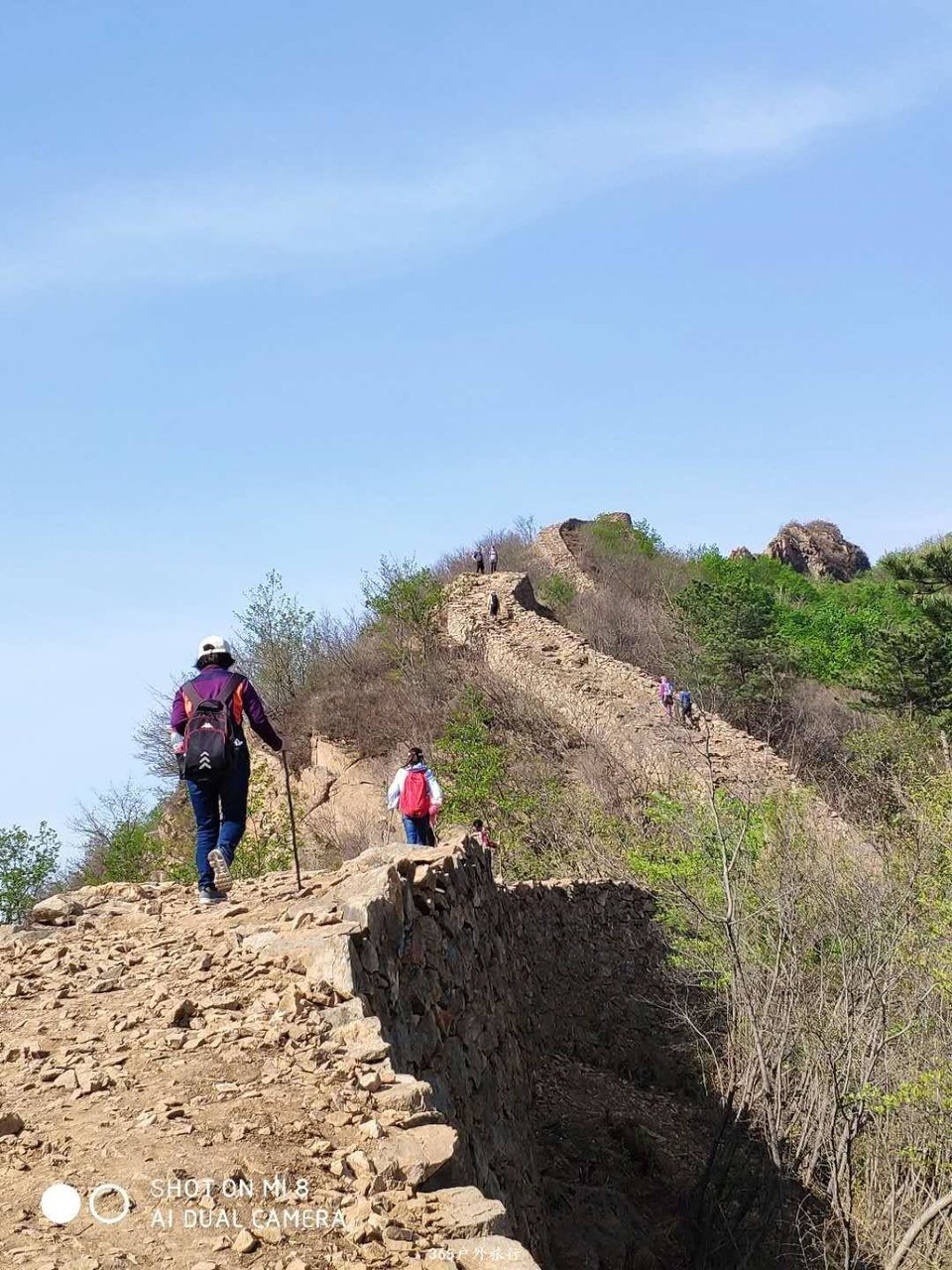 mmexport1556866502671