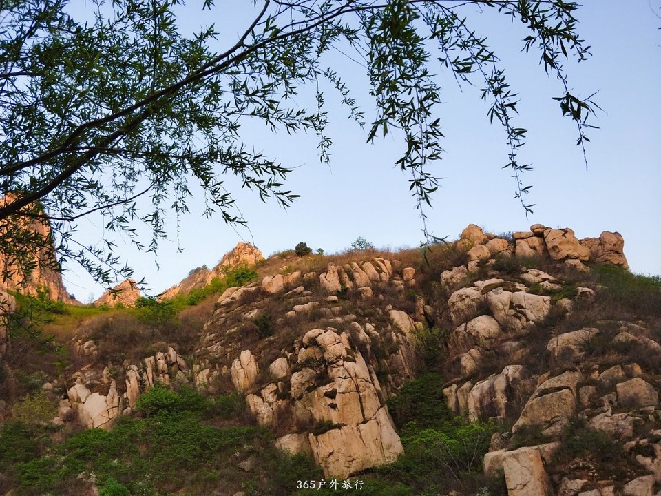 IMG20190501180307_mh1557126928856