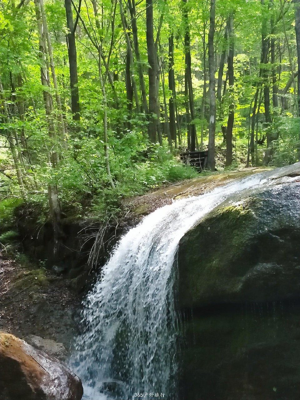 IMG20190518133846_mh1558186066394