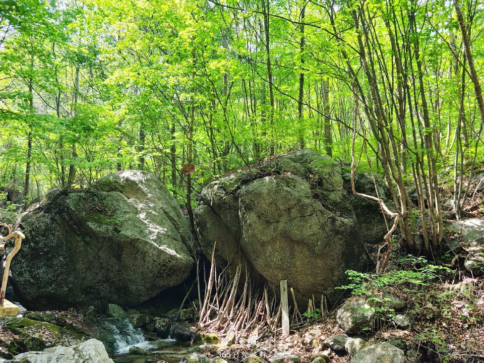 IMG20190518130733_mh1558186200823