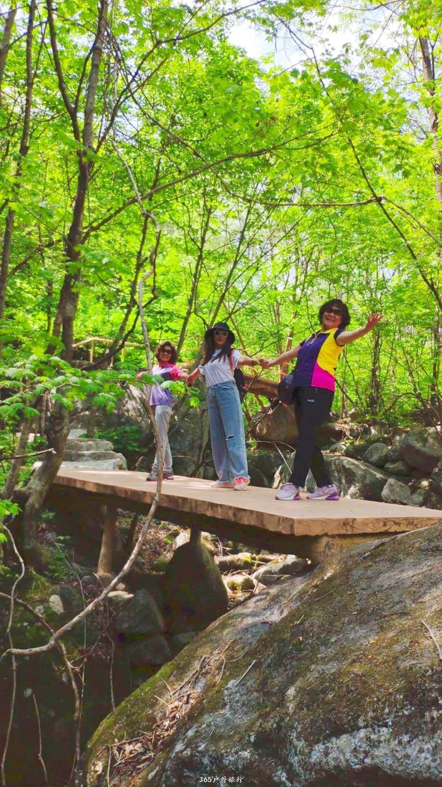 mmexport1558184479862_mh1558188040803