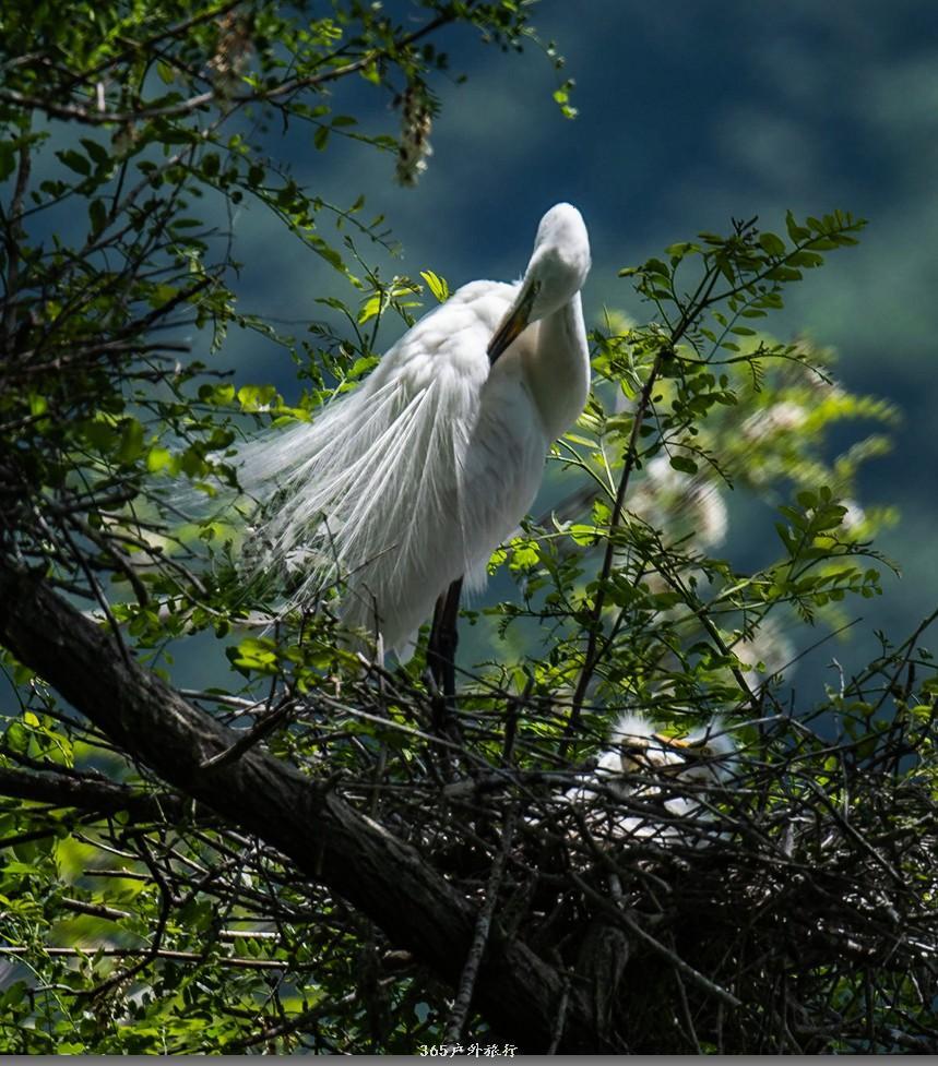 mmexport1559526064755