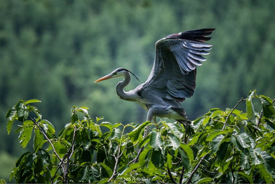 mmexport1559526457525