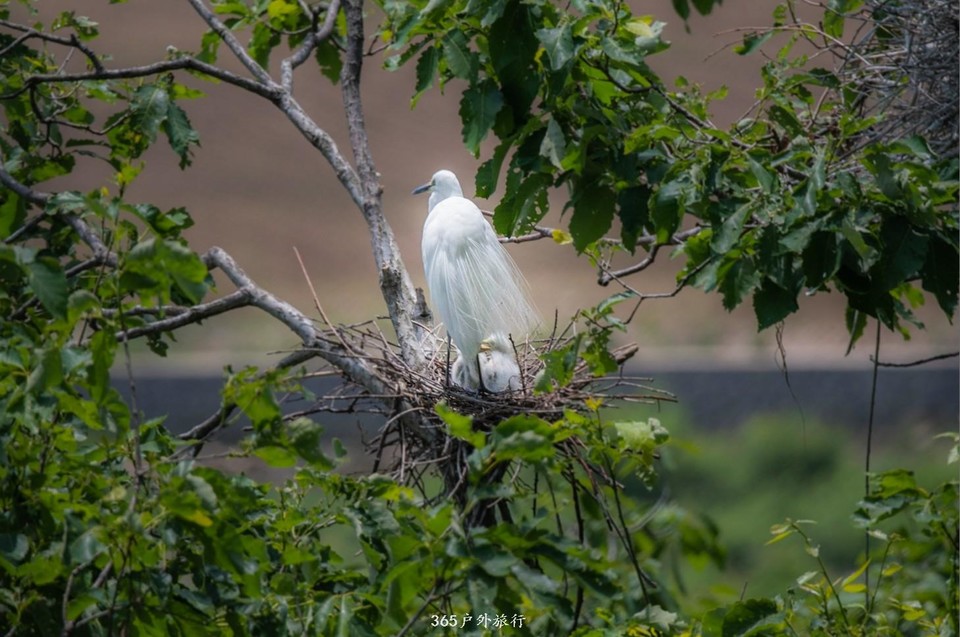 mmexport1559526468639