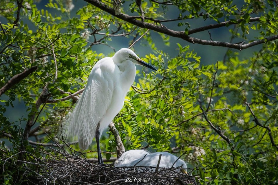 mmexport1559526491824