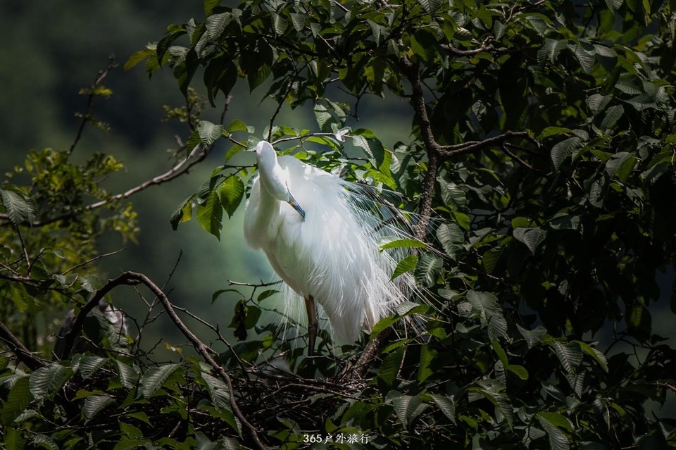 mmexport1559526495386