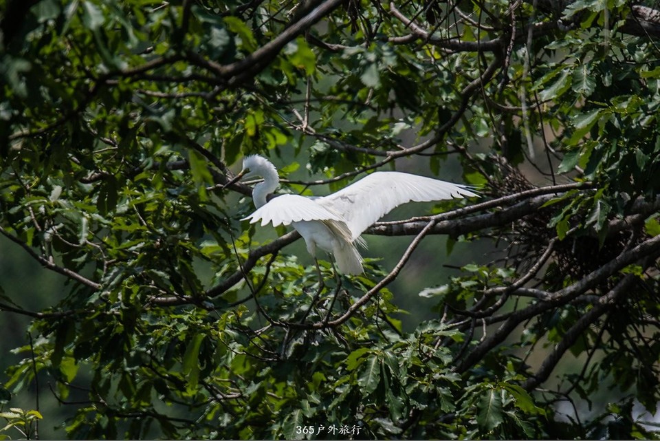 mmexport1559528320975