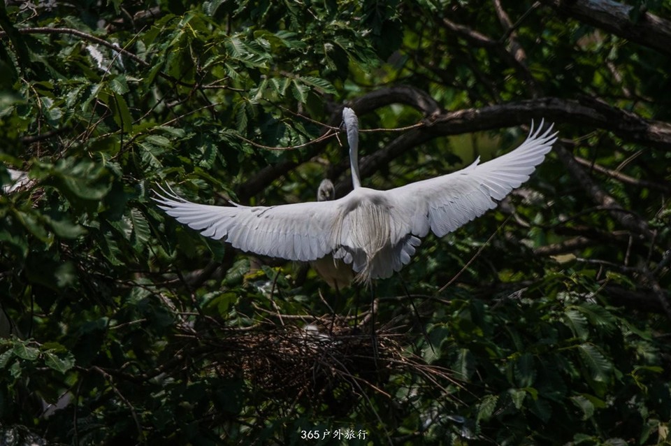 mmexport1559528328947