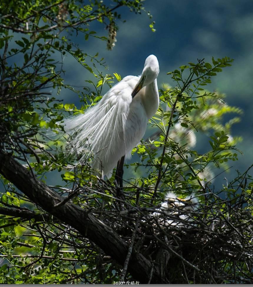 mmexport1559535437483