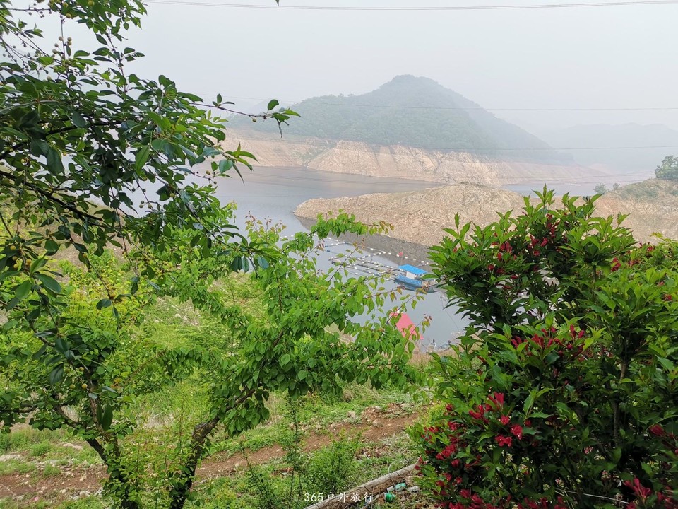 mmexport1559475995514