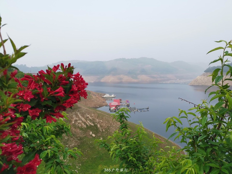 mmexport1559475999934