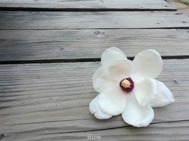 LE4JOkbrF5lib1LvnUjwNXEXv94Xlmpm1HF4P7zjQTss_J5y1oPU0y5xUOHQj5M8