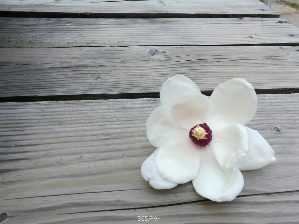 LE4JOkbrF5lib1LvnUjwNXEXv94Xlmpm1HF4P7zjQTss_J5y1oPU0y5xUOHQj5M8