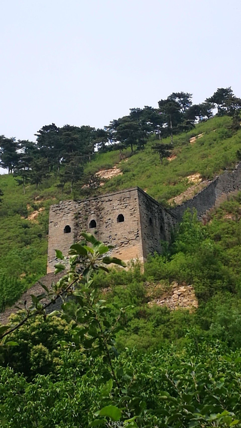 94DYq5OezuxI1DDjz2NPCTElqjLkSnKlY1OI_mymTbZWp7yoQor4uyUAmK_MjjQn