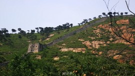 42Z9fiuWOMZIo4pqMBhw8Ht63ndKRj1LRQRLPvFctnr8s1ZMBnKbfZbVDnDDFJNJ