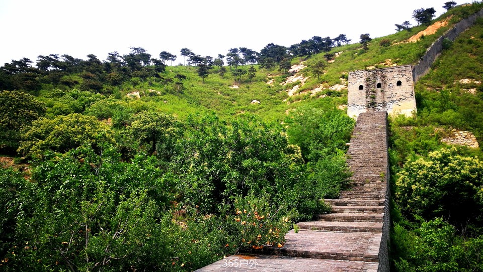 CSMKv6GpAynnyZiSpOGiwShG3NaSjdlElG87lazyaUryKWbIffVqSMa6mIQwTNT5