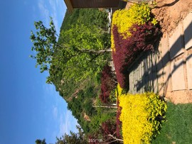 53EAB72A-A226-4D42-BBCA-E86A68B84528