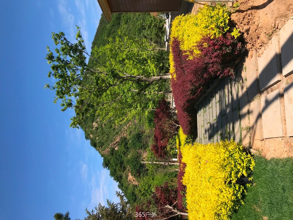 53EAB72A-A226-4D42-BBCA-E86A68B84528