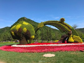 D8D1E6B6-5C95-4A34-A531-595B04E9E44C