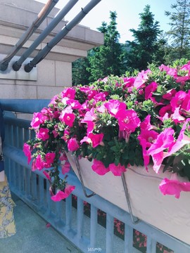 6C2E7699-B2C7-41EC-A419-AE310A7B7349