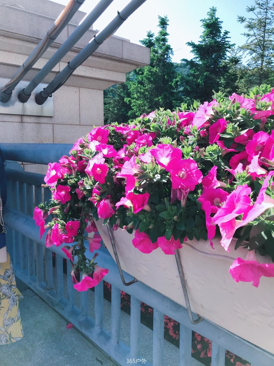 7C54F3B1-F418-4DCD-B0B9-30A5A8938DB5