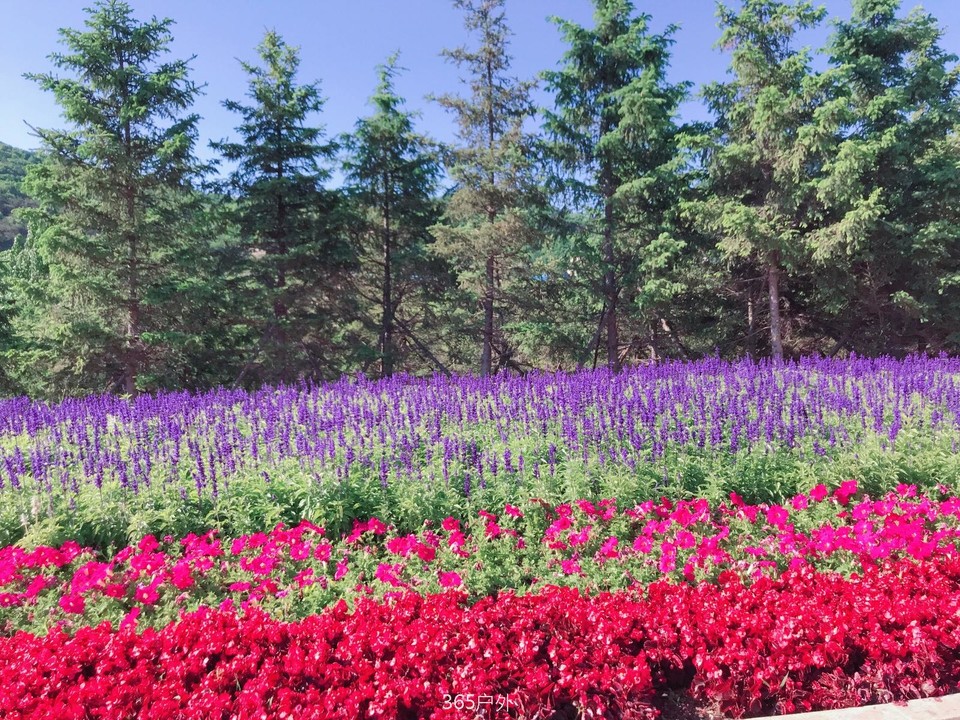 1B0DD64A-5D15-46F3-9D9F-7B0CC9DF92F1