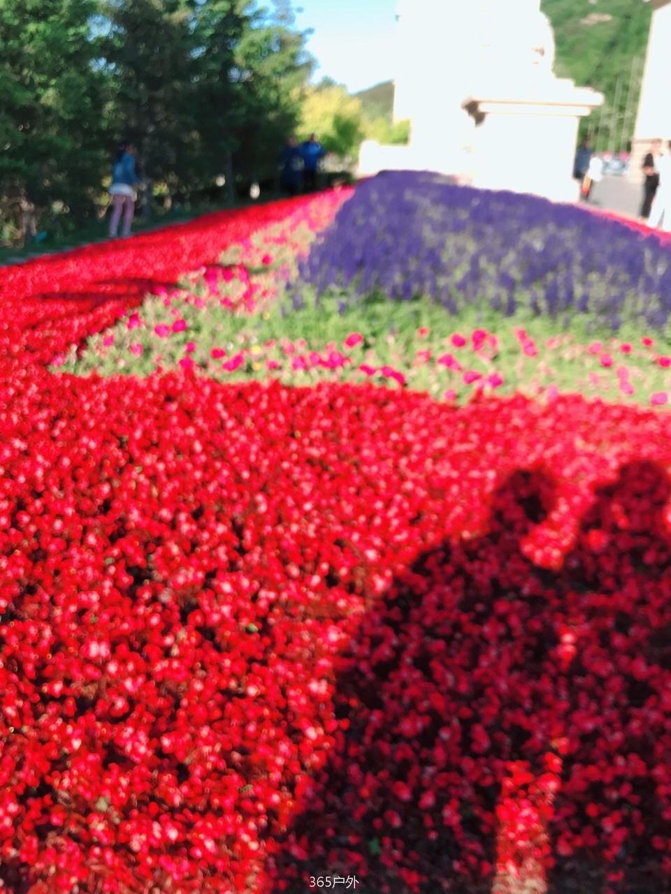 F4745E52-CB14-461D-92C3-98AB3CA6E31E