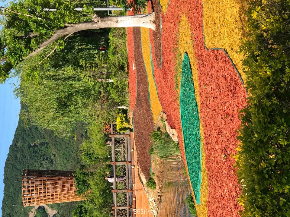 2A8C29FC-A3F6-4BAF-8336-A74E96064339