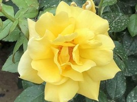 AAC604D0-9A7A-4DA1-8719-B51BA27BC995