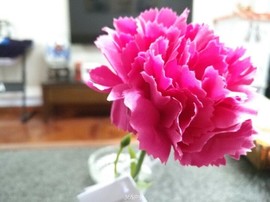 B56CFFB0-72B3-46D8-BAD9-9932B1607F43