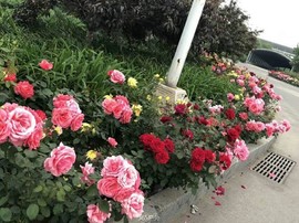 CDA64792-6C75-4BC7-A918-F09C3E5D1B1E