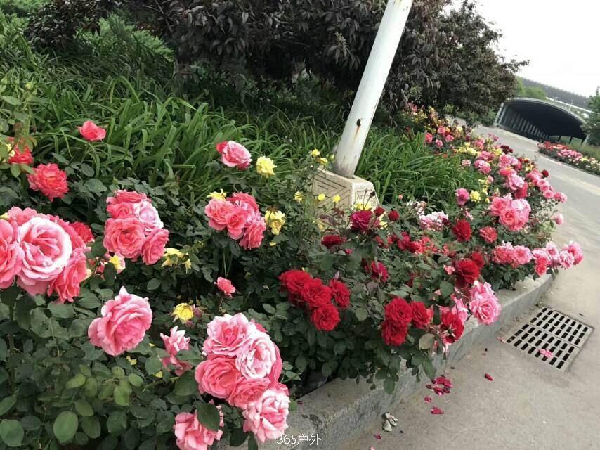 CDA64792-6C75-4BC7-A918-F09C3E5D1B1E