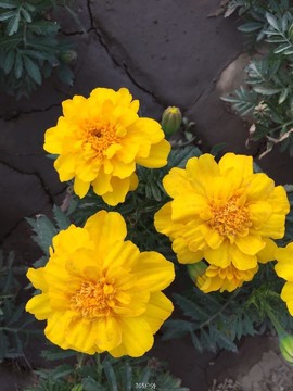 480CAB23-D4C2-47CC-A46E-373E8DF68847