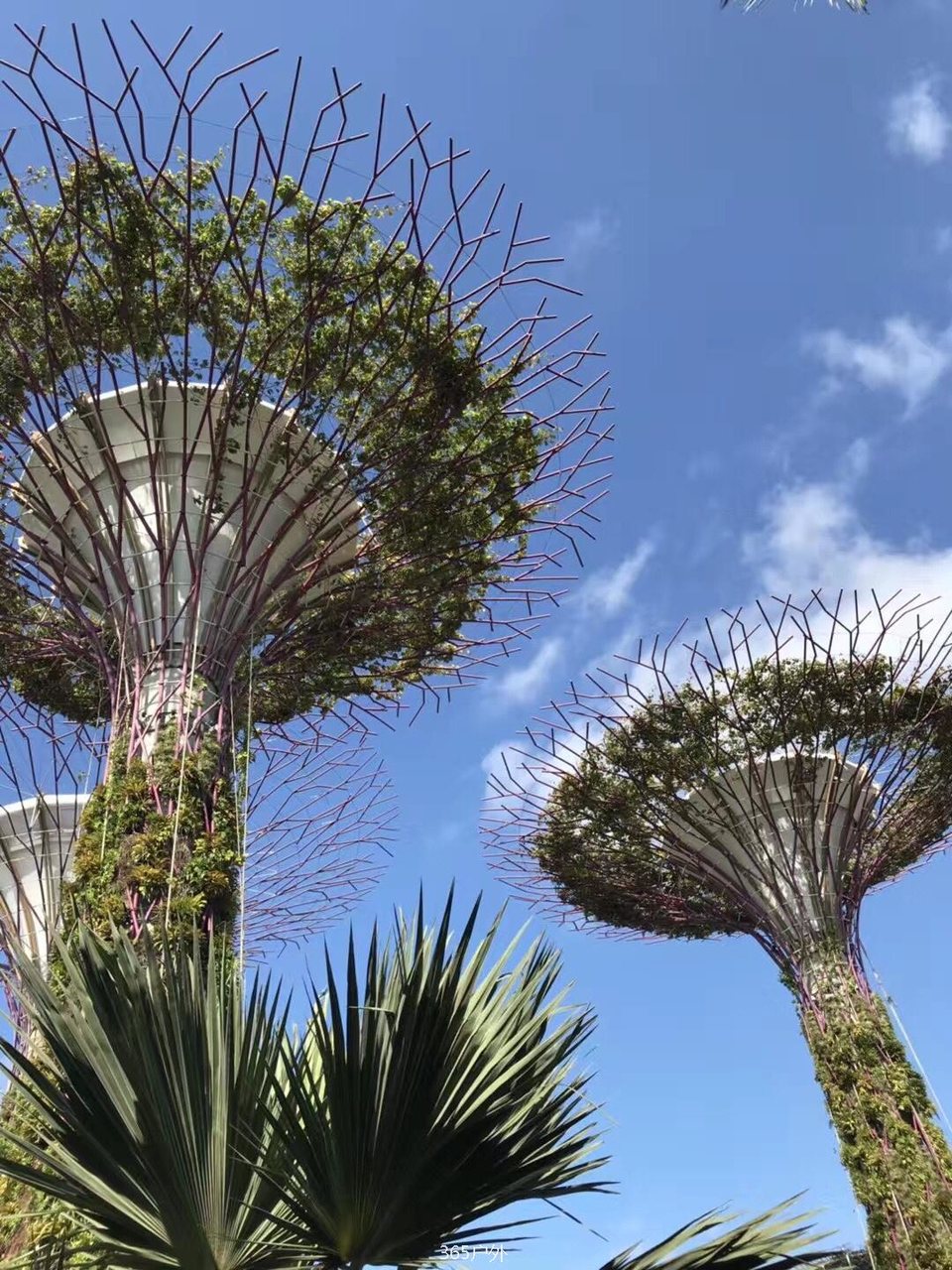 583D8D55-E5B9-4A9F-828F-AAA1EBB569BF