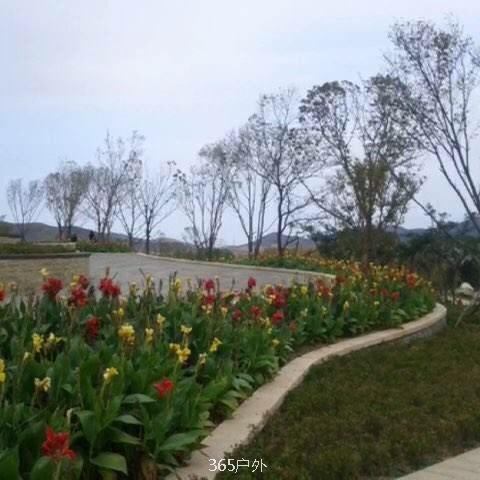 F6F5ED77-7F3E-48B0-A0B7-4D54EEDBAB17