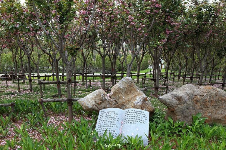 868F4E74-1ED5-43A2-AF68-677584280740