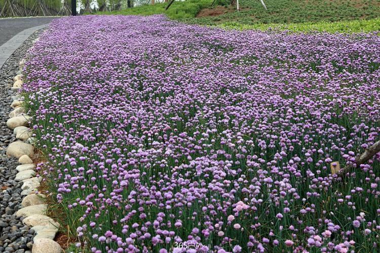 60AE9695-77D0-445D-981D-DAD93431640E